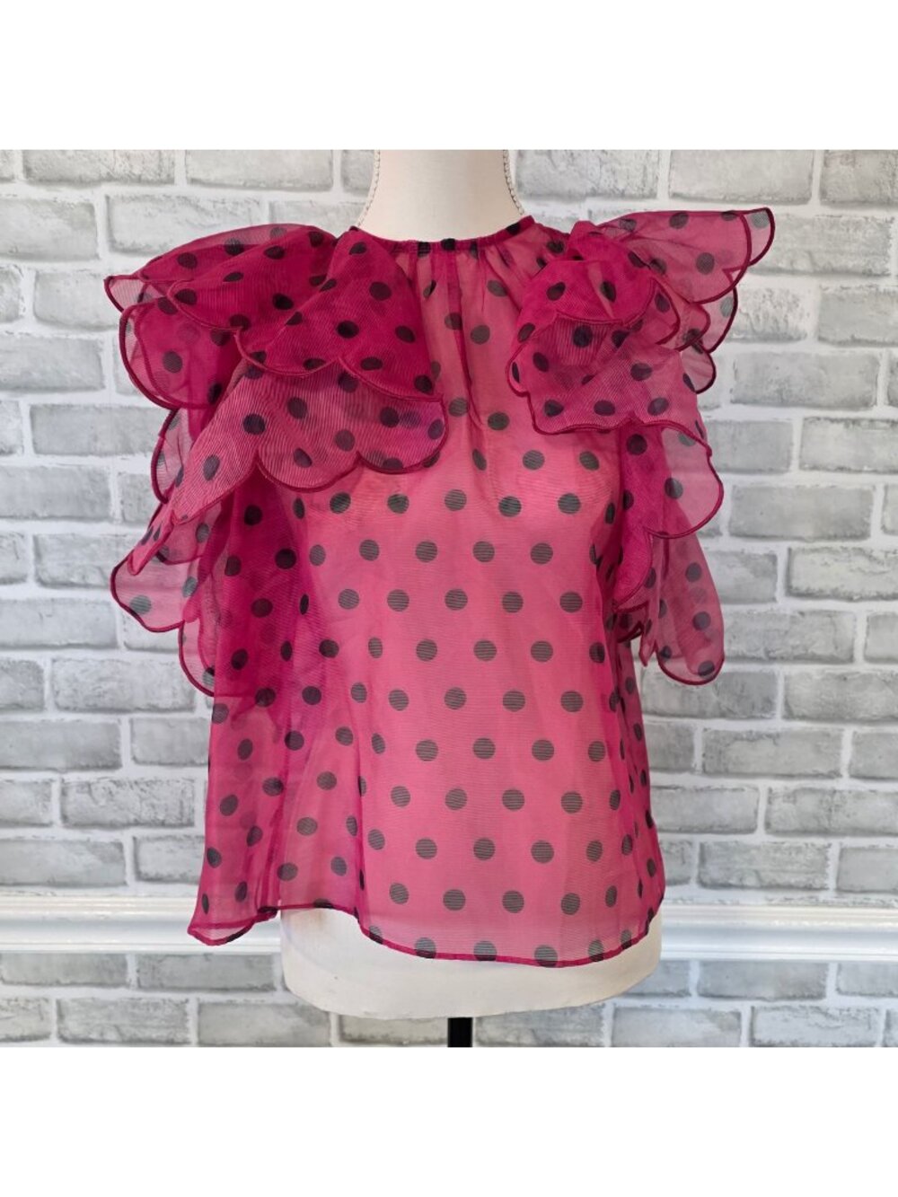 INA Avant Garde Dopamine Polka Dot Sheer Mesh Scalloped Ruffle Statement Top NWT